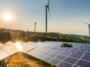 blog posts focus bio energy