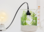 blog posts focus bio energy (3)