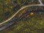 road-woods-forrest road-woods-forrest